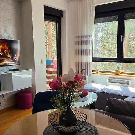 Silver Lux Lägenhet Zlatibor