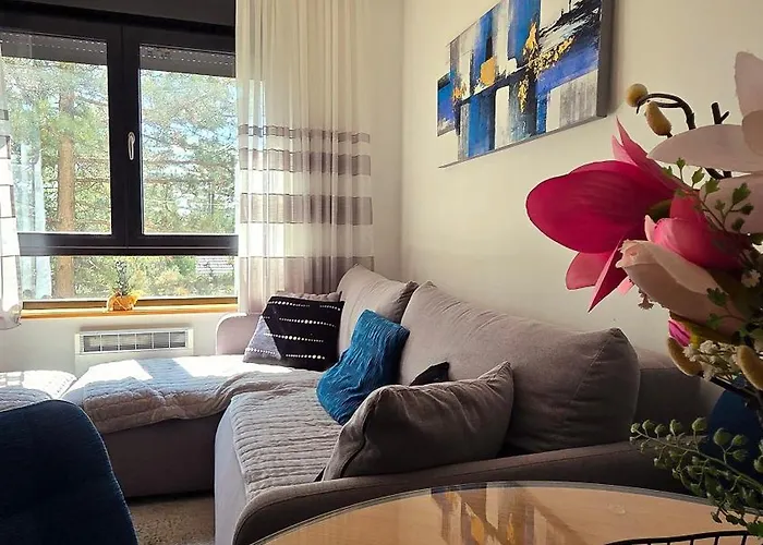 Apartament Silver Lux Zlatibor