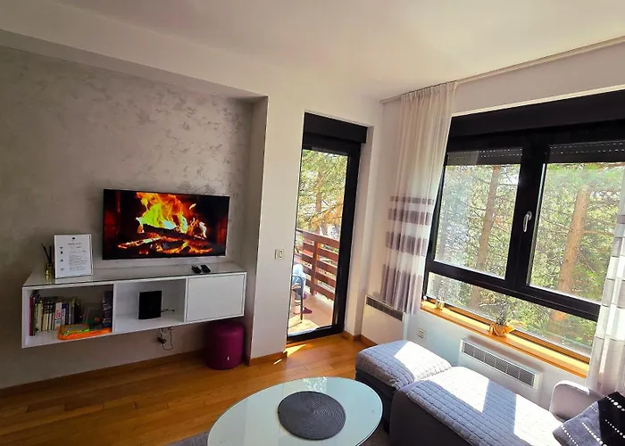 公寓 Silver Lux 兹拉蒂博尔